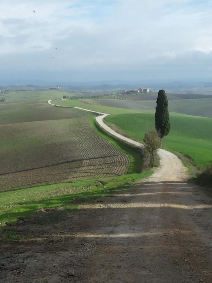 Gli Archi Di Corsanello Daire Siena Dış mekan fotoğraf