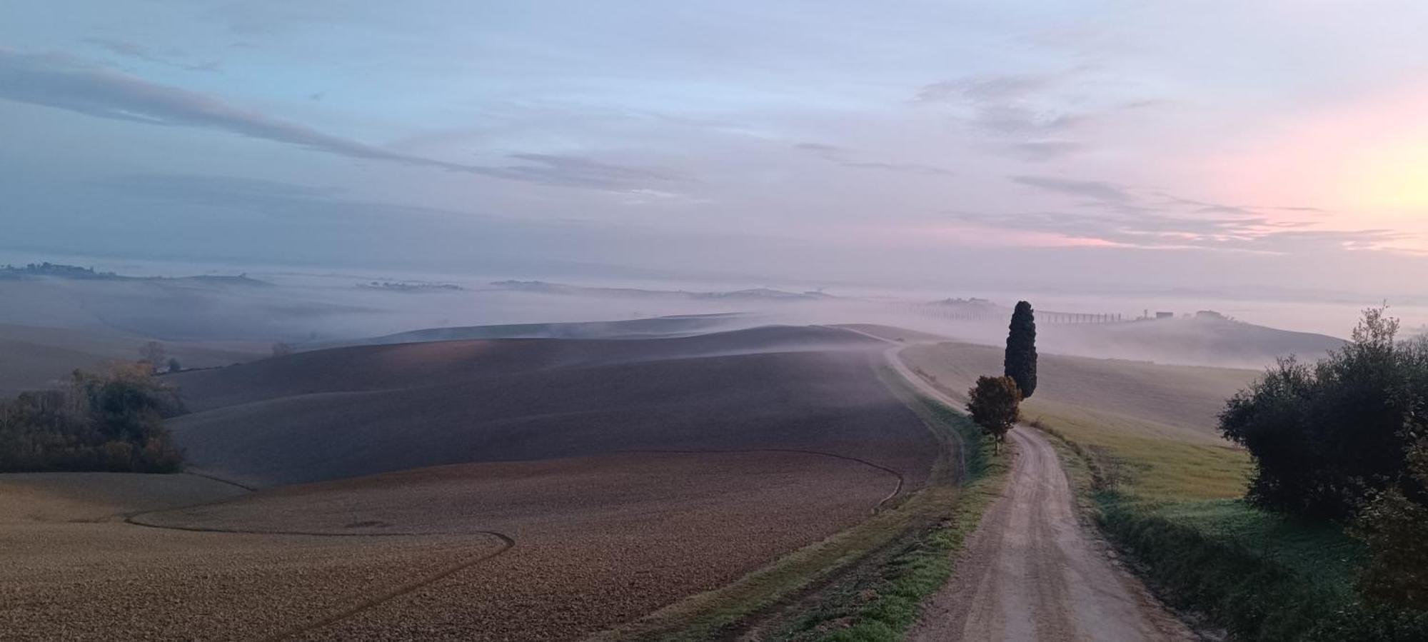 Gli Archi Di Corsanello Daire Siena Dış mekan fotoğraf